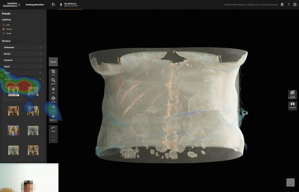 Testing and refining the design